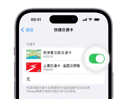 梁山apple维修点分享iPhone上更换Apple Pay快捷交通卡手绘卡面 