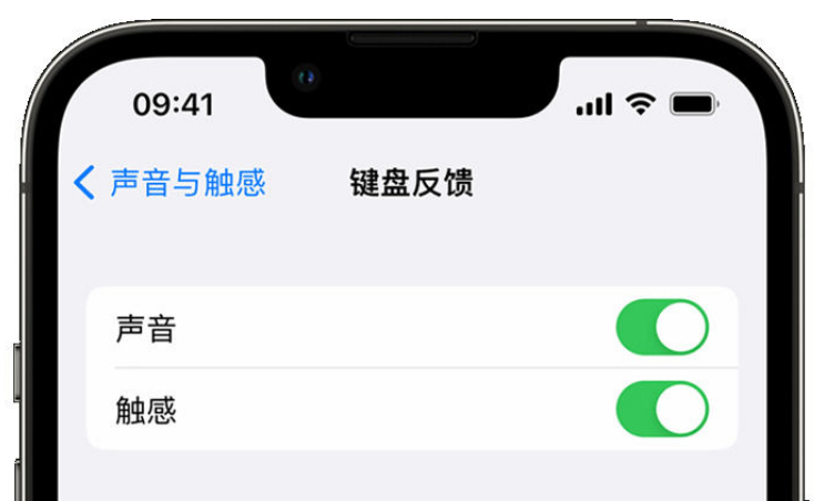 梁山苹果手机维修分享iPhone 14触感键盘使用方法 