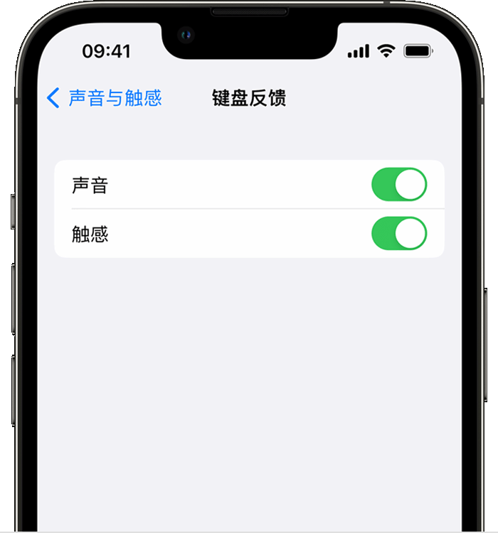 梁山苹果14维修店分享如何在 iPhone 14 机型中使用触感键盘 