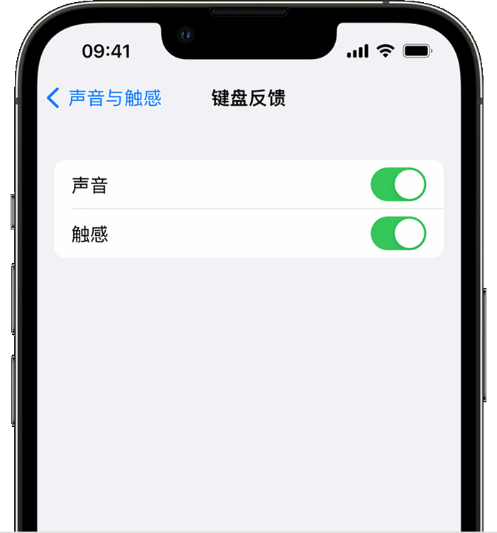 梁山苹果14维修分享iPhone 14 系列机型如何开启键盘声音或触感反馈 