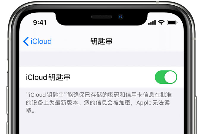 梁山苹果手机维修分享在 iPhone 上开启 iCloud 钥匙串之后会储存哪些信息 