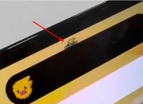 梁山苹果14维修分享iPhone 14 Pro Max灵动岛怎么养宠物 
