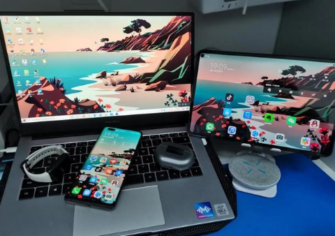 梁山苹果手机维修分享为什么iPad屏幕更大价格却比iPhone低 