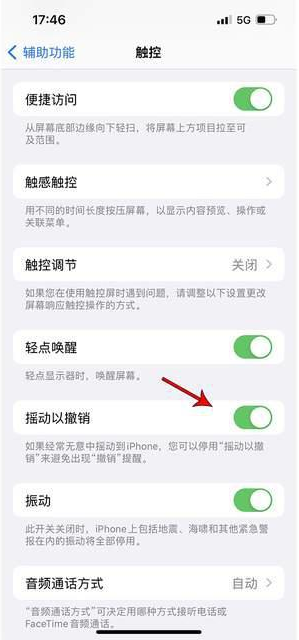 梁山苹果手机维修分享iPhone手机如何设置摇一摇删除文字 
