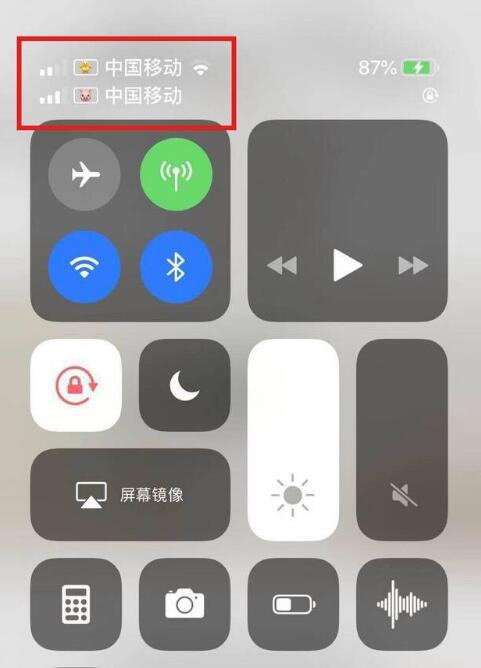 梁山苹果手机维修分享为 iPhone 12 双卡设置标签 