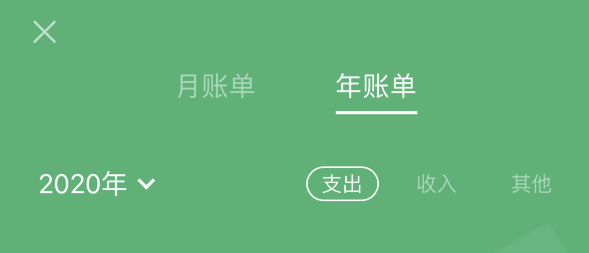 梁山苹果手机维修分享如何在 iPhone 上查看支付宝和微信年支出账单 